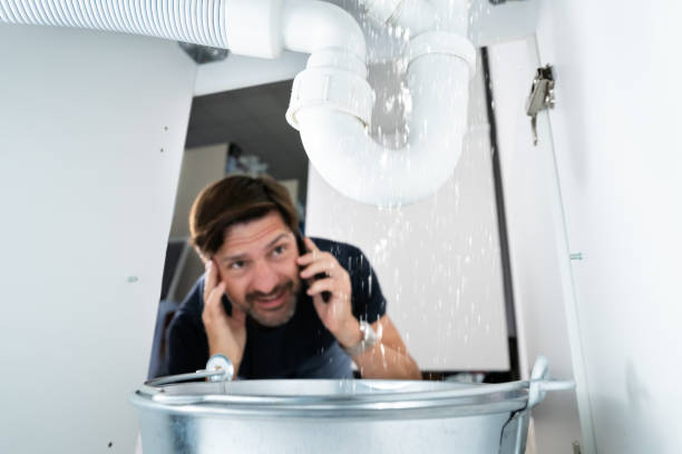 Best Pipe Repair Near Me  in Mishawaka, IN